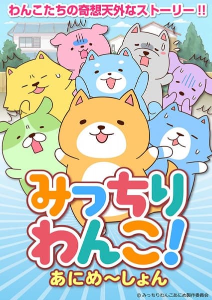 Affiche de Micchiri Wanko! Animation
