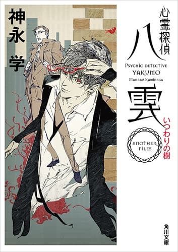 Affiche de Shinrei Tantei Yakumo: Another Files
