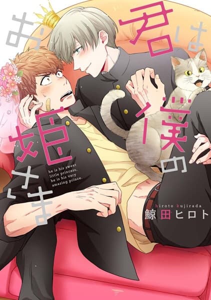 Affiche de Kimi wa Boku no Ohimesama