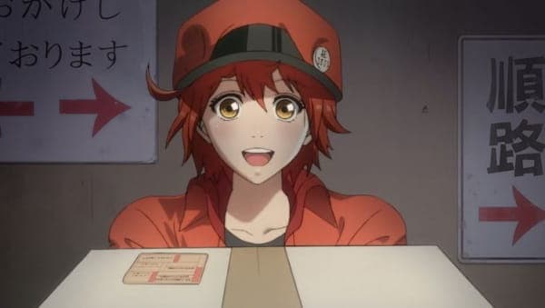 Affiche de Hataraku Saibou