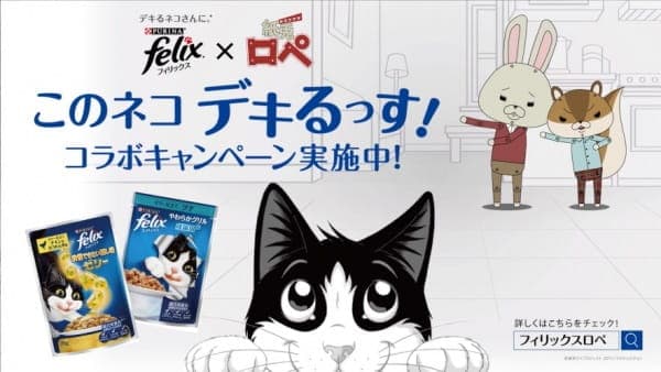 Affiche de Felix x Kamiusagi Rope