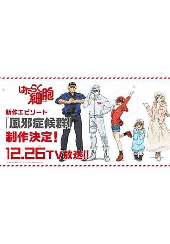 Affiche de Hataraku Saibou: Kaze Shoukougun