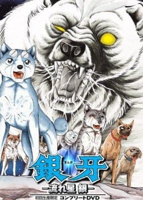 Affiche de Ginga Nagareboshi Gin