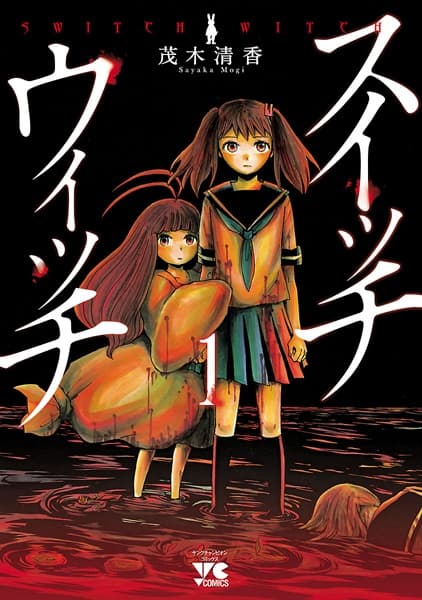 Affiche de Switch Witch