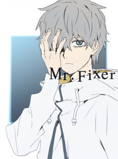 Mr. Fixer