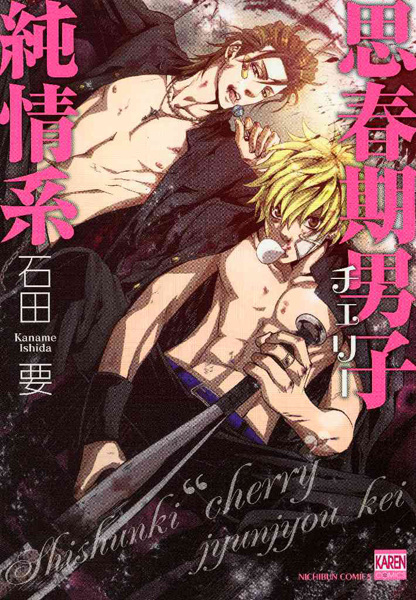 Shishunki Danshi Junjoukei