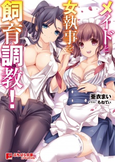 Maid to Onnashitsuji wo Shiiku Choukyou