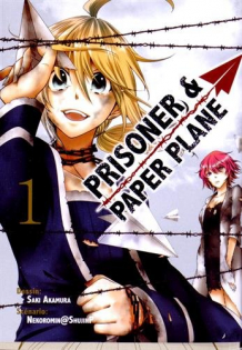 Prisoner and Paper Plane
