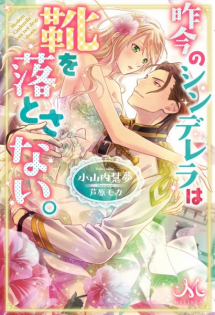 Sakkon no Cinderella wa Kutsu wo Otosanai.