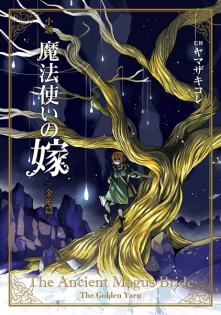 Shousetsu Mahoutsukai no Yome