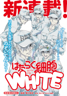 Hataraku Saibou White