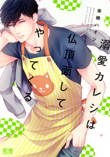 Dekiai Kareshi wa Bucchouzura shite Yattekuru