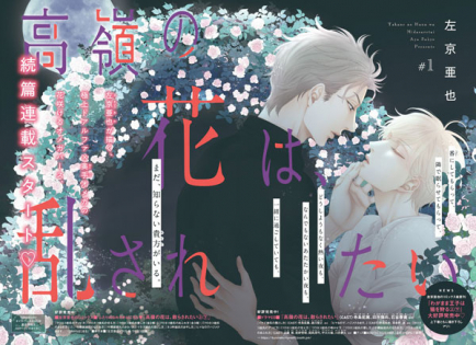 Takane no Hana wa, Midasaretai