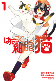 Hataraku Saibou Neko