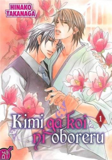 Kimi ga Koi ni Ochiru