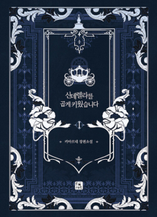 A Wicked Tale of Cinderella's Stepmom