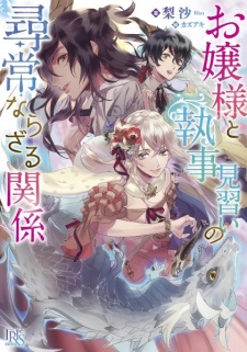 Ojou-sama to Shitsuji Minarai no Jinjou Narazaru Kankei