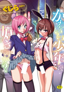 Kawaii Shounen wa Suki desu ka?