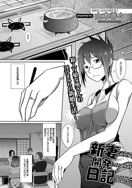 Niīzuma Kaihatsu Nikki