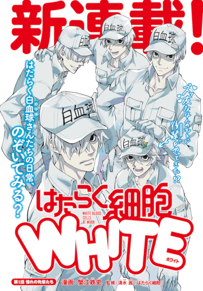 Hataraku Saibou White