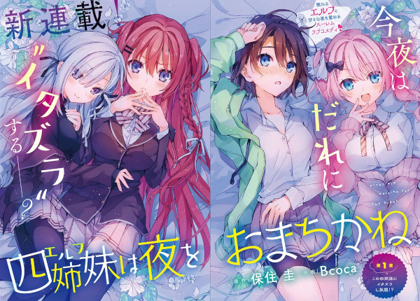 Elf wa Yoru wo Omachikane