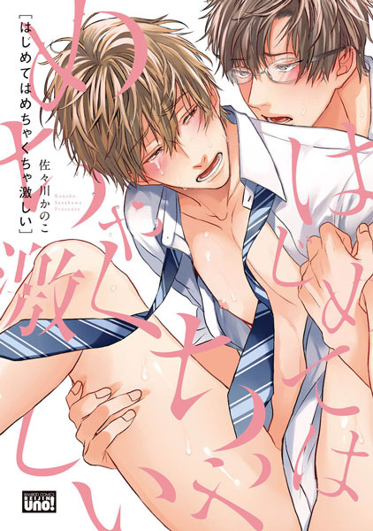 Hajimete wa Mechakucha Hageshii