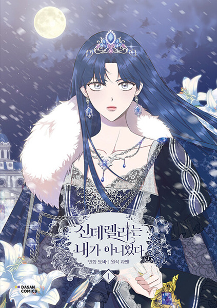 I Wasn't the Cinderella