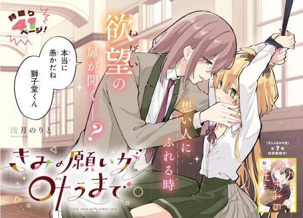 Kimi no Negai ga Kanau made