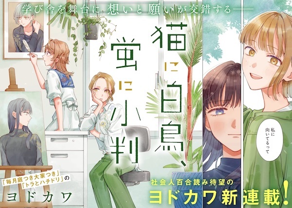 Neko ni Hakuchou, Hotaru ni Koban