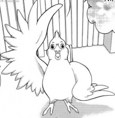 Robert Okamura Yakisschiller