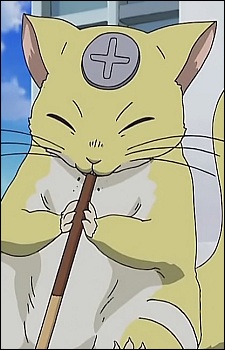  Momotarou
