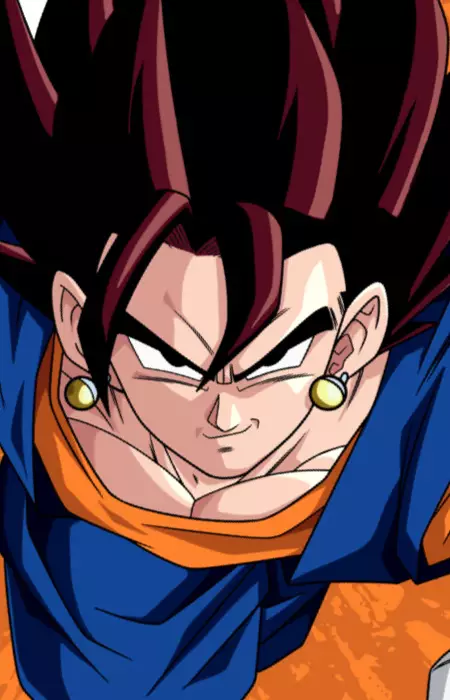  Vegetto