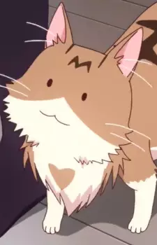  Metako