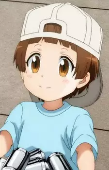 Kesshouban (Ushiromae-chan)