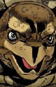  Coco Jumbo