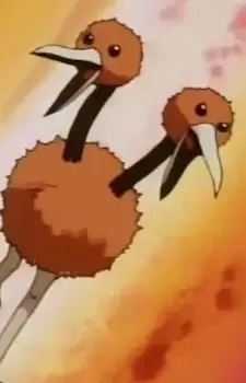  Doduo