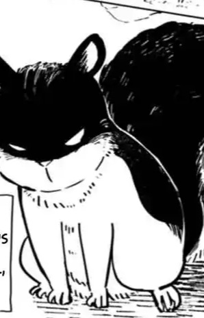 Sasuke 