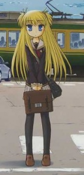 Shirayuki Euphorbia Marginata