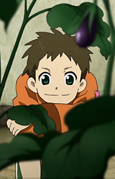  Seiya