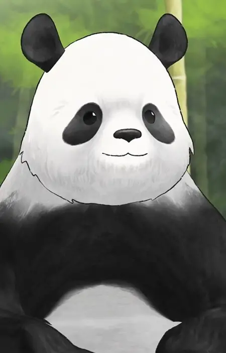  Giant Panda