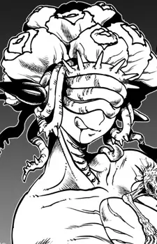 Shurelia 