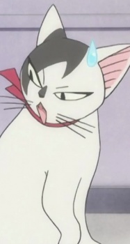  Tama