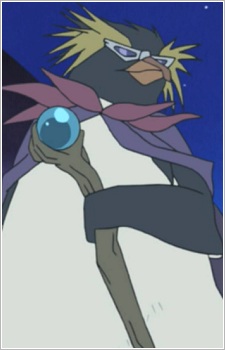  Rockhopper Penguin